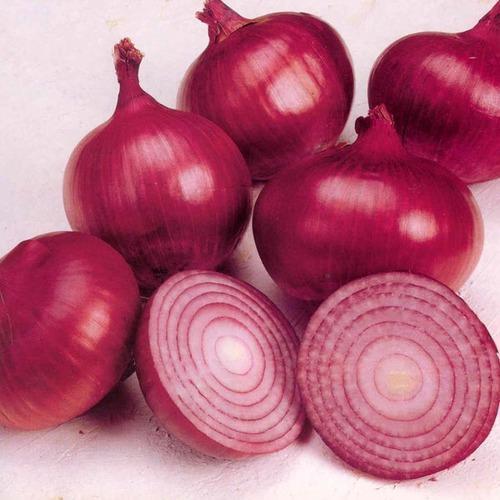 Nashik Red Onion