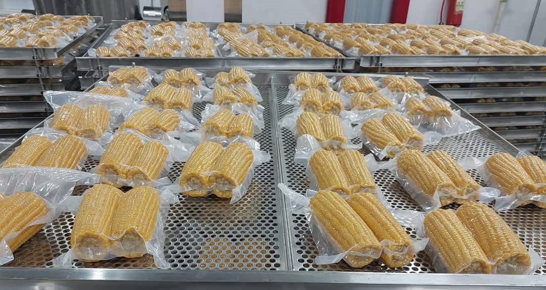 Vacuum Corn Cob